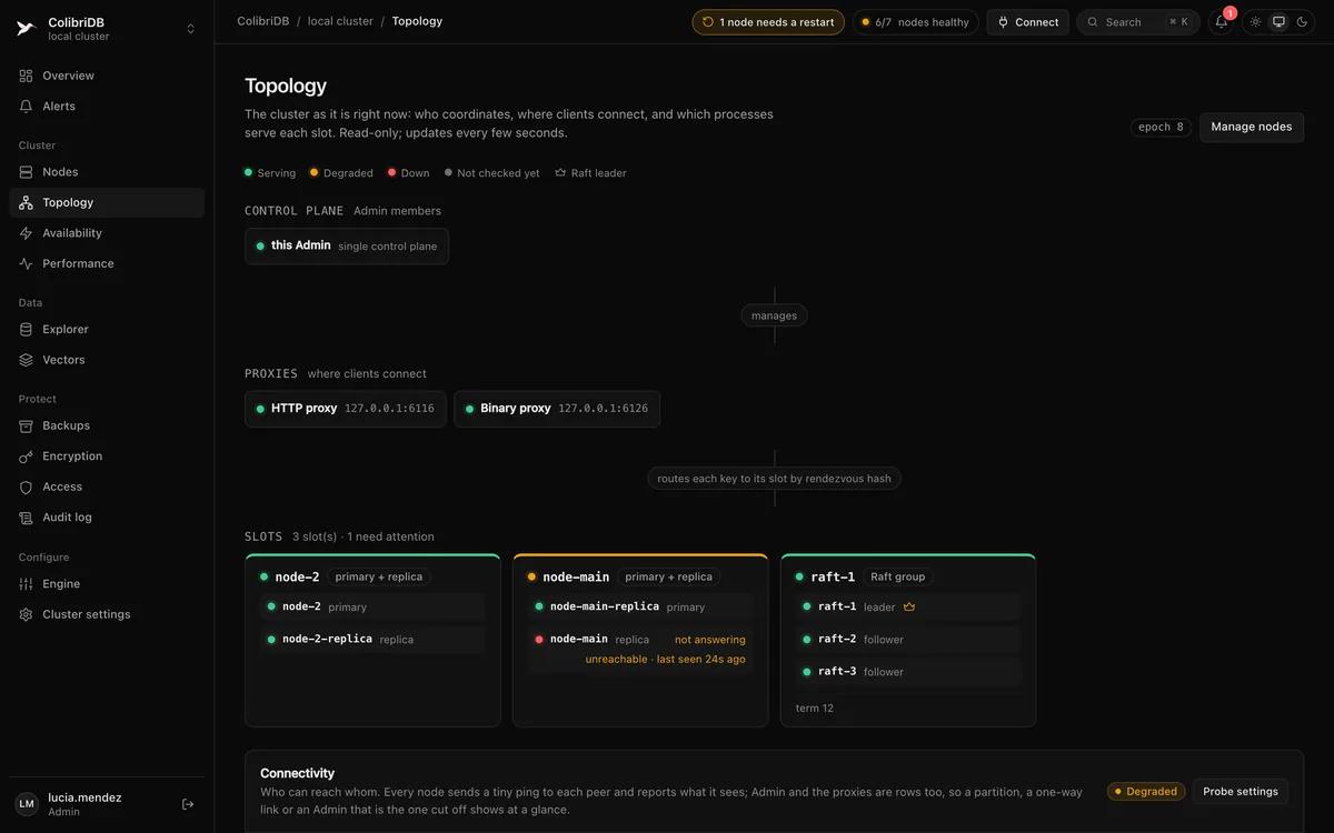 The Topology page right after a failover: the primary of one slot is marked not answering, its in-sync replica now serves as primary and the epoch has advanced.