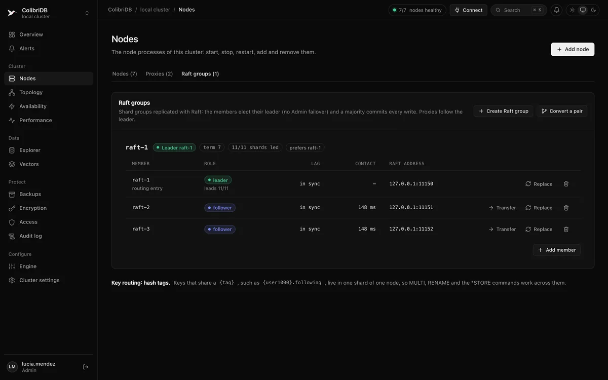 The Nodes page, Raft groups tab: the group's leader, term and shards led, and each member's role, lag and Raft address.