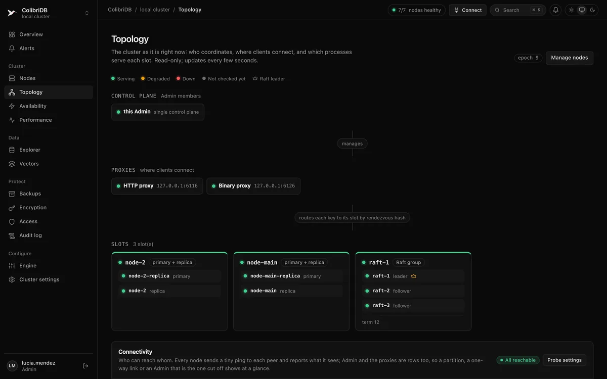 The Topology page after the failover: control plane, proxies and three slots, each with its serving primary, a Raft group with its leader crowned, and connectivity all reachable.
